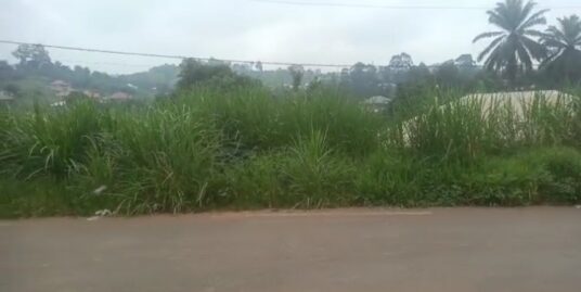 40m by 40m by 22m by 19m Plot for Sale at Mile 6 Nkwen – Bamenda, Cameroon