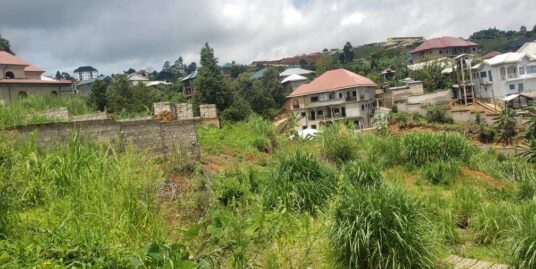 636sq meters Plot for sale in the Government Residential Area (GRA) Up – Station, Bamenda